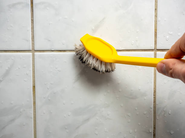 Best Home Mold Removal  in Coldspring, TX