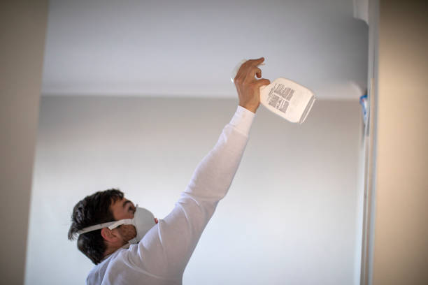 Best Crawl Space Mold Removal  in Coldspring, TX