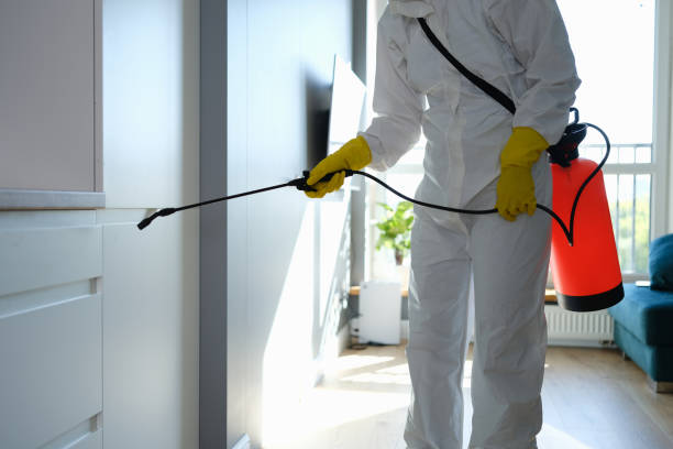 Best Professional Mold Removal  in Coldspring, TX