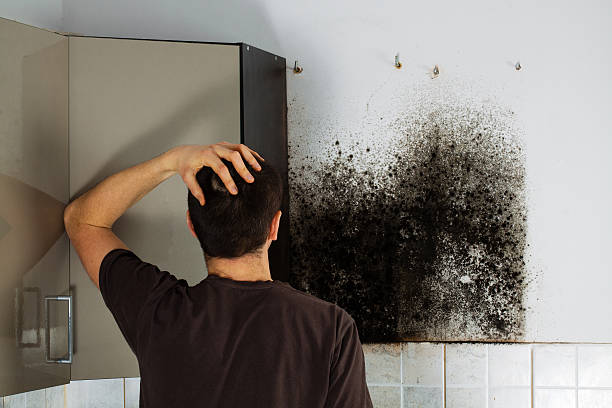 Best Residential Mold Removal  in Coldspring, TX